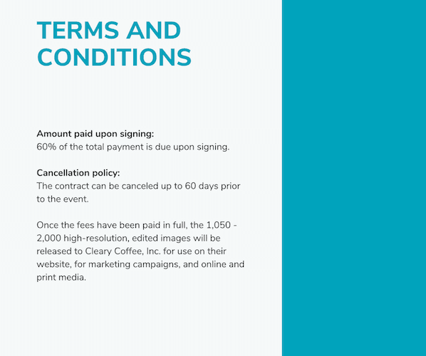 How to write a business proposal: Example Terms and Conditions
