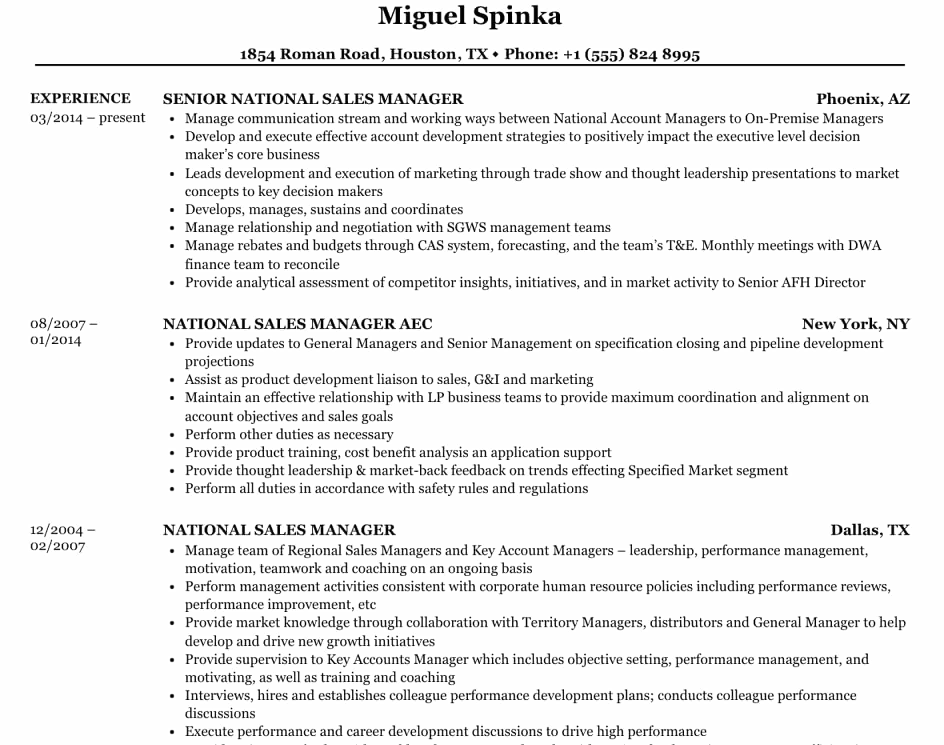 National sales manager resume example