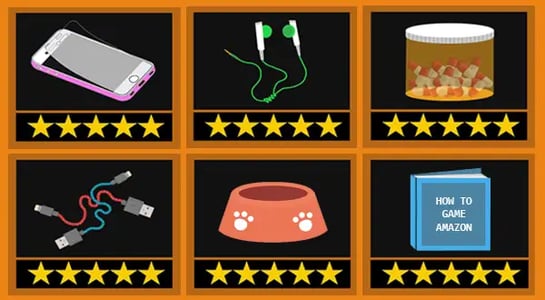 5-star phonies: Inside the fake Amazon review complex